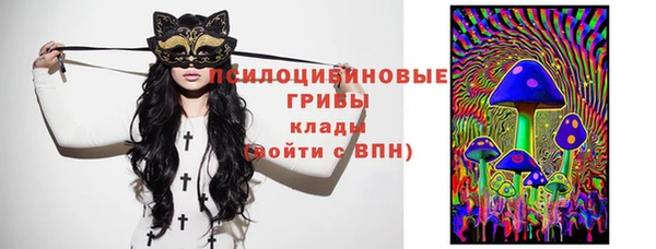 спайс Каменка