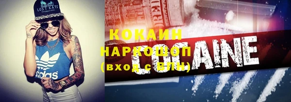 спайс Каменка