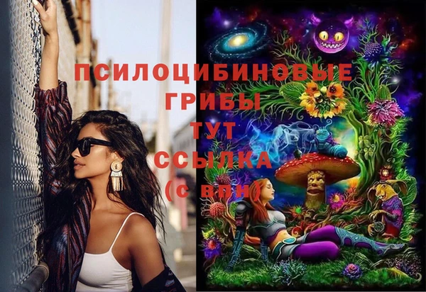 спайс Каменка