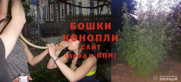 спайс Каменка